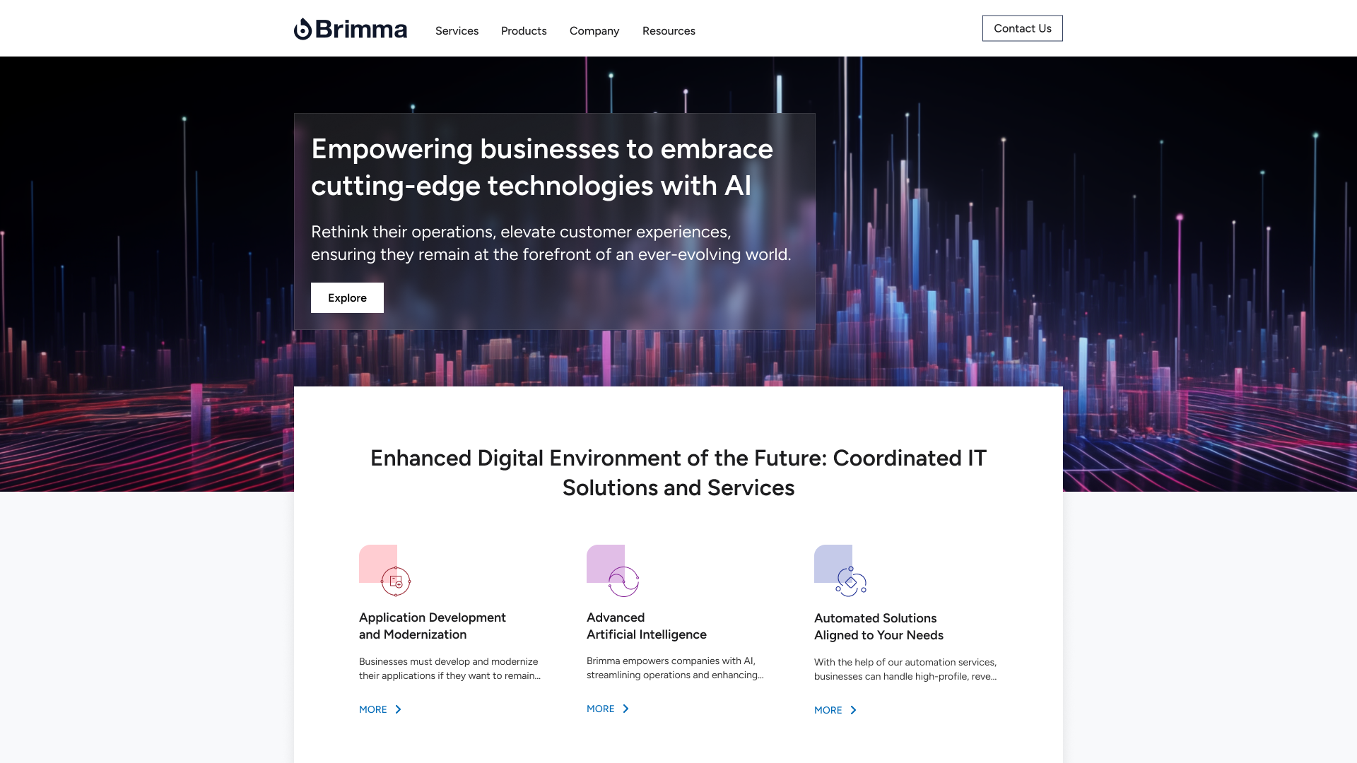 Brimma 2024_home